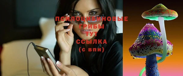 ГАЛЛЮЦИНОГЕННЫЕ ГРИБЫ Балахна