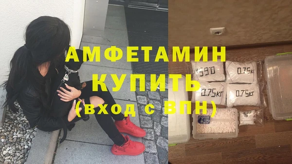 ГАЛЛЮЦИНОГЕННЫЕ ГРИБЫ Балахна