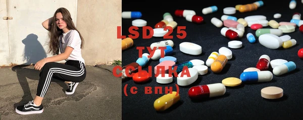 ГАЛЛЮЦИНОГЕННЫЕ ГРИБЫ Балабаново