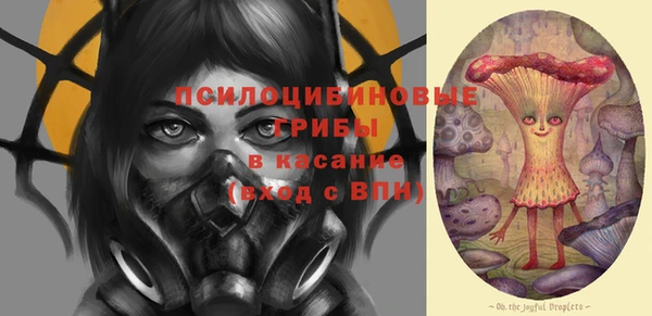 ГАЛЛЮЦИНОГЕННЫЕ ГРИБЫ Балабаново